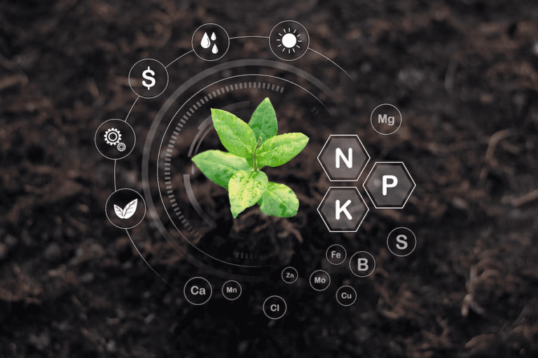 Nitrogen (N) Nutrient Deficiencies: Causes, Symptoms, and Solutions for Your Plants