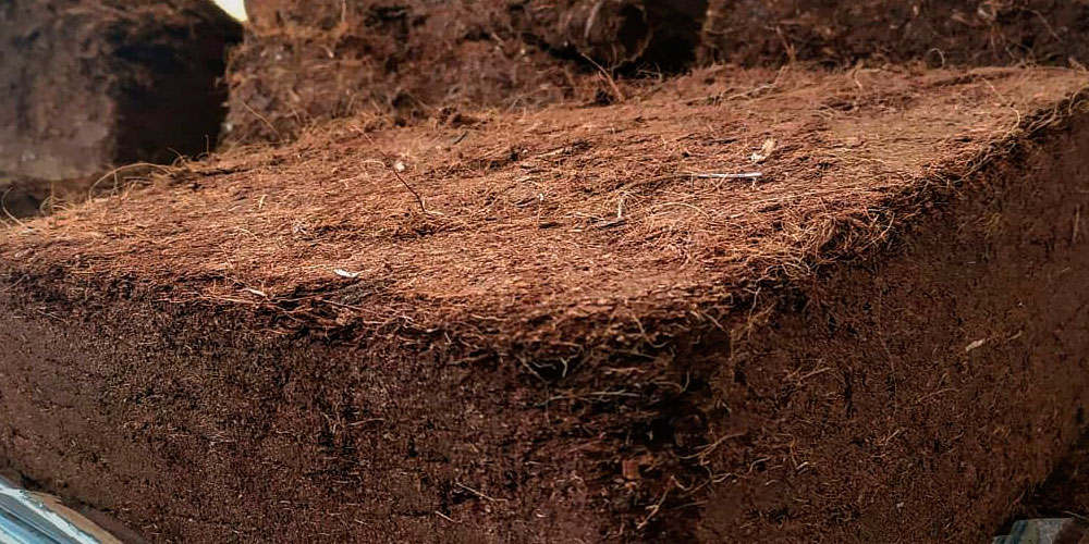 Coconut Fiber: Harnessing the Benefits of a Natural and Organic Growing Medium