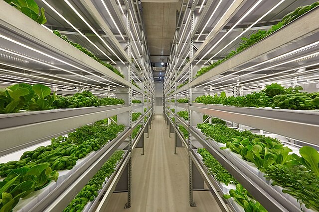 Exploring the Future of Aquaponics and Hydroponics in Agriculture