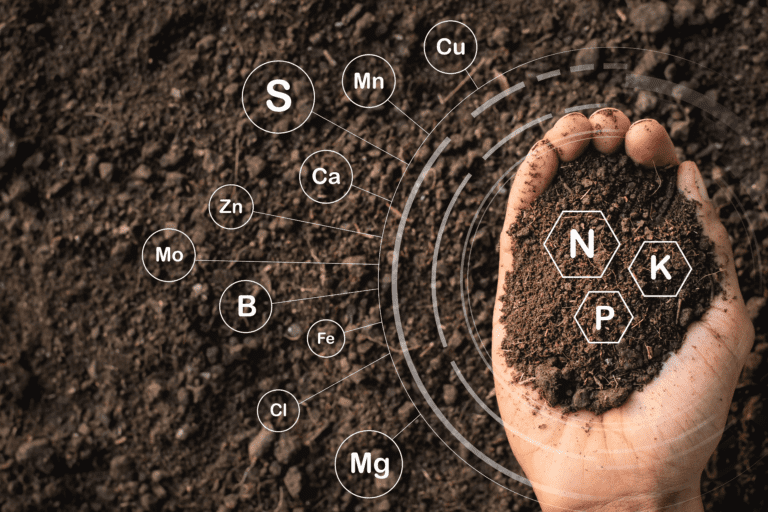 Garden Soil Nutrient Testing: How to Test and Analyze Your Soil Quality and Fertility for Your Plants