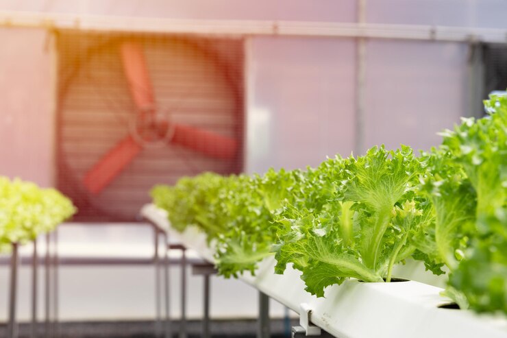 How to Choose the Right Fan for Your Hydroponic Grow Room: A Step-by-Step Guide