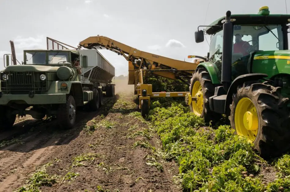 The Importance of Selecting the Proper Bucker for Your Harvest