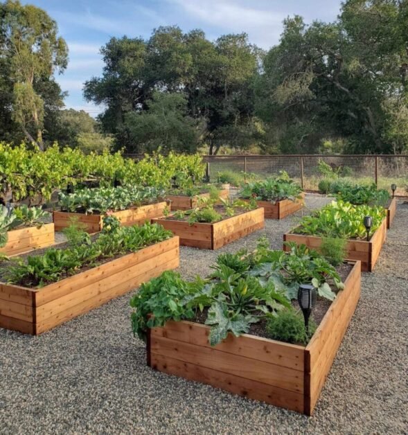How to Build and Plant a Raised Garden Bed in 5 Easy Steps - South ...