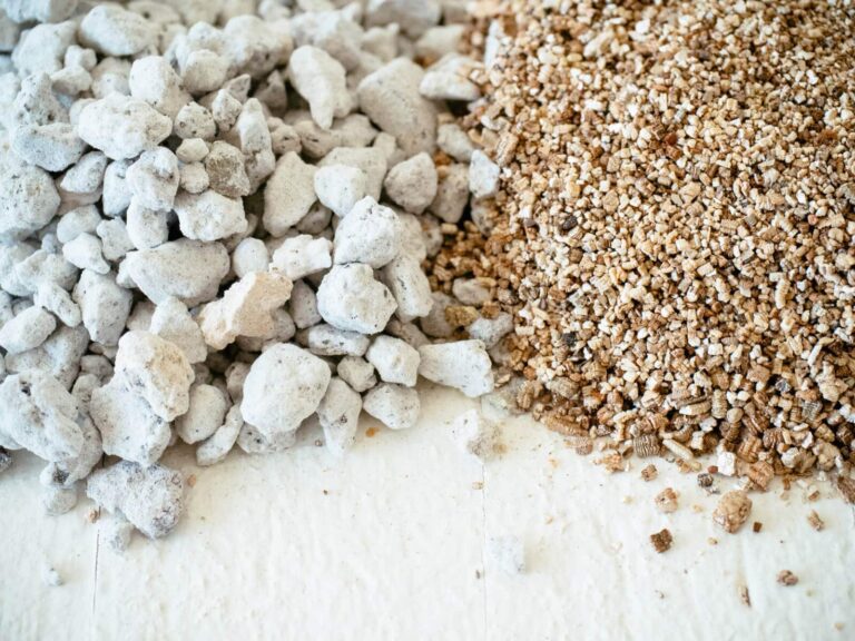 Perlite vs Vermiculite: What They Are, How They Work, and How to Use Them for Your Plants