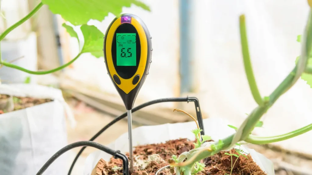 pH Testers for Soil and Hydroponics