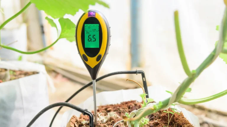 Best No.1 pH Testers for Soil and Hydroponics: Reviews and Recommendations