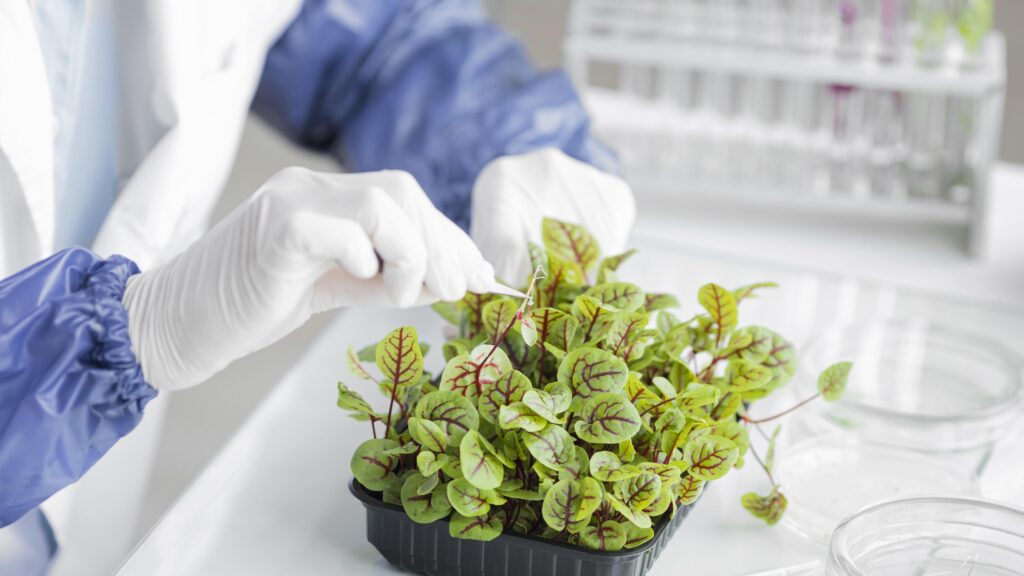 researcher with plant biotechnology laboratory 3