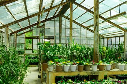 Build Your Own Greenhouse: A Guide to 84 DIY Options