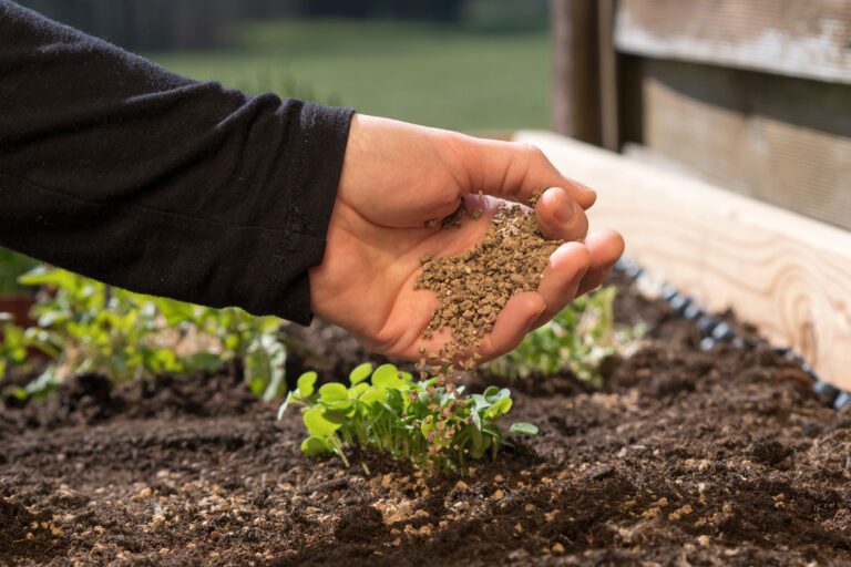 How to Use Bone Meal: A Natural Fertilizer for Your Plants