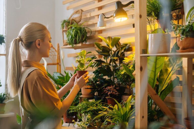 1.Hydroponic Garden Indoor: Tips and Tricks to Avoid Common Problems