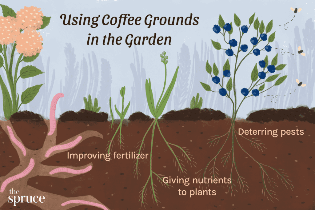 The Benefits of Composting Coffee Grounds
