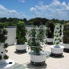 aeroponics system tower gardens | Tower garden, Hydroponic ...