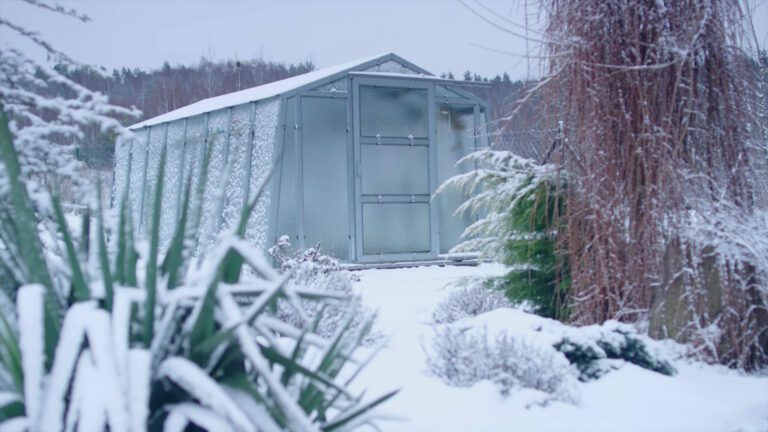 Winter Hydroponics: The Essential Equipment You Need to Keep Your Garden Alive