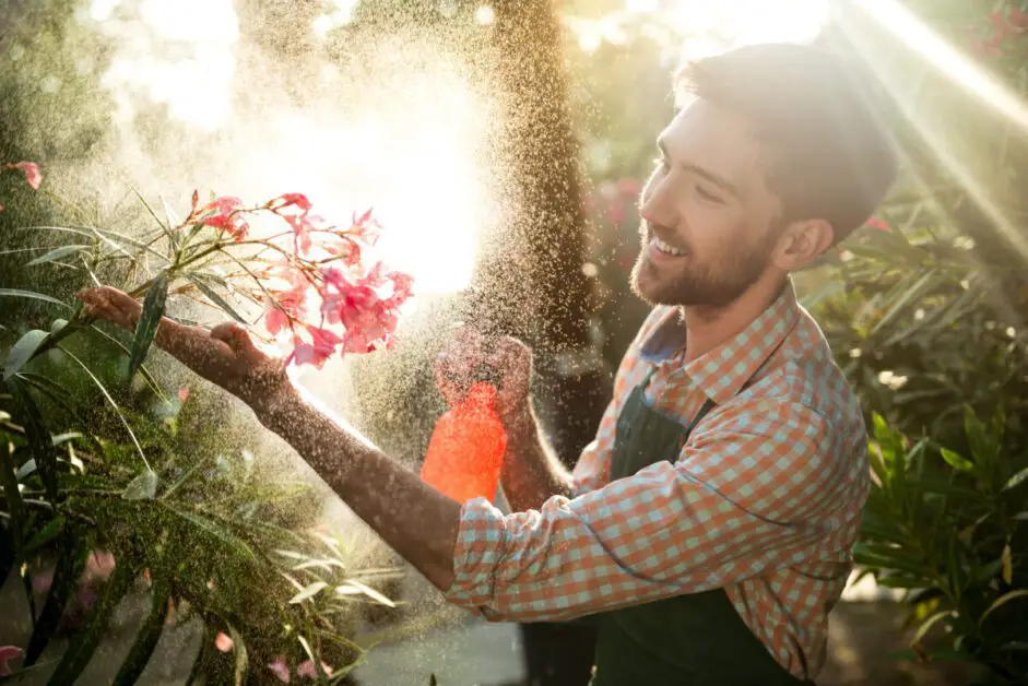How to Water Your Plants the Right Way: Tips and Tricks for Healthy Growth1