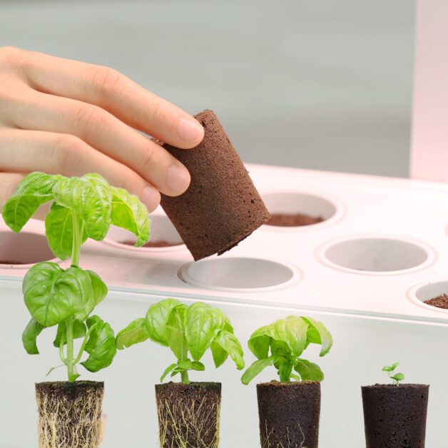 Selecting the Perfect Hydroponic Grow Sponge for Healthy Plants