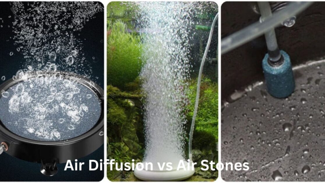 Air Diffusion vs Air Stones