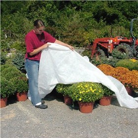 How to Determine the Ideal Time to Cover Plants with Frost Blankets