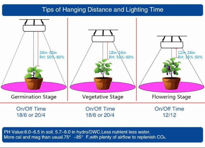 The Impact of CFL Grow Lights on Different Types of Indoor Plants