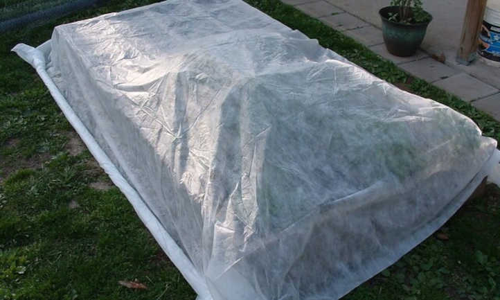 Best Practices for Using Frost Blankets in Garden Beds