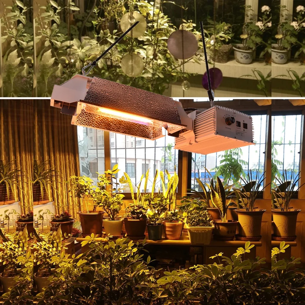 Considering the Cost and Maintenance of Single-Ended and Double-Ended Grow Lights