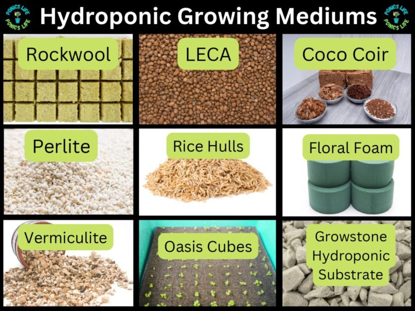 Choosing the Perfect Growing Medium for Your Hydroponic Garden