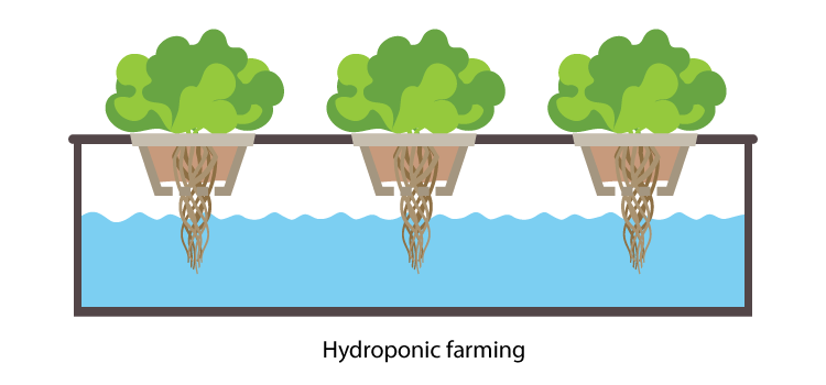Exploring Different RO System Options For Hydroponics