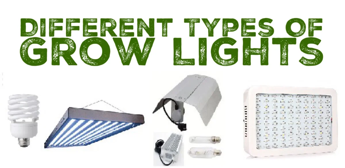 Exploring the Different Types of CFL Grow Lights Available