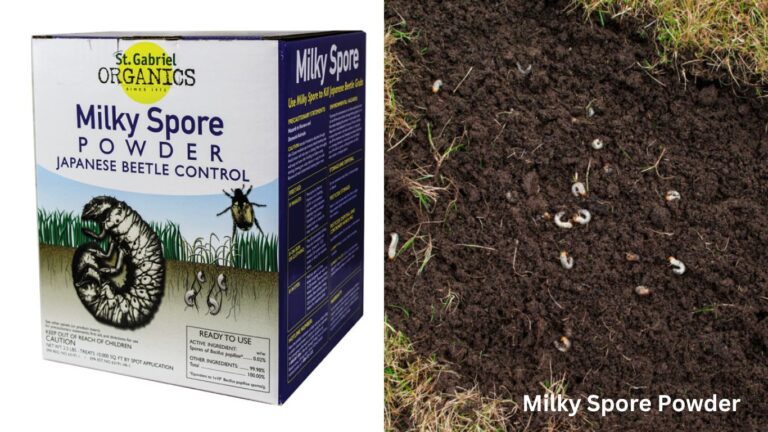 Milky Spore Powder: Super Effectiveness in Pest Control