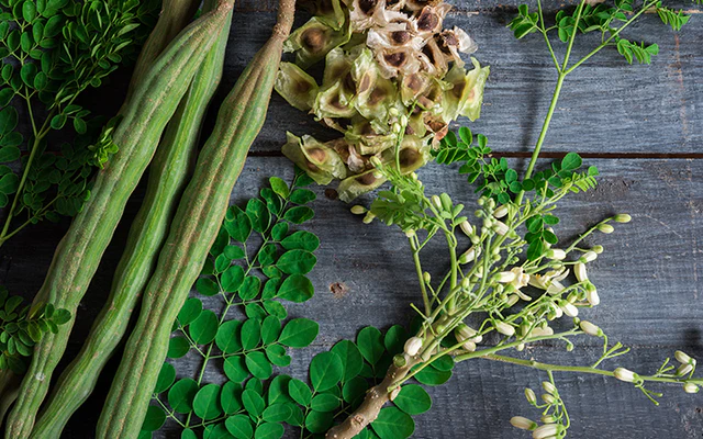 The Health Benefits of Moringa: A Comprehensive Guide