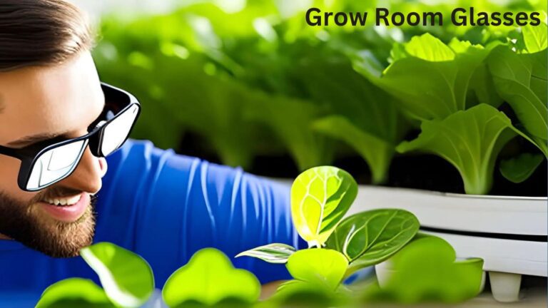 Grow Room Glasses: What They Are and Why You Need Them