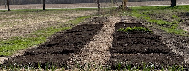 Controlling Weeds in No-Till Gardens