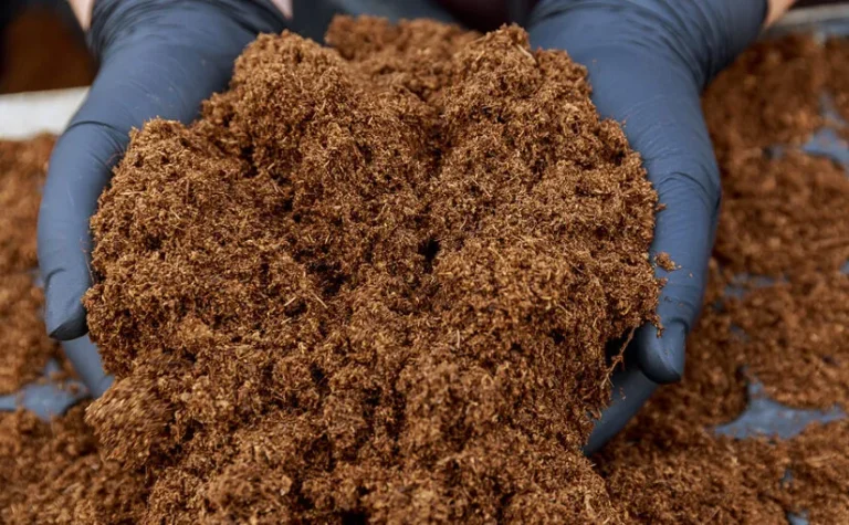 Cow Manure: How to Turn Poop into Peat