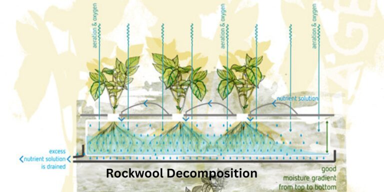 Rockwool Decomposition: What It Is The Best and No. 1 Way to Prevent It in Hydroponics
