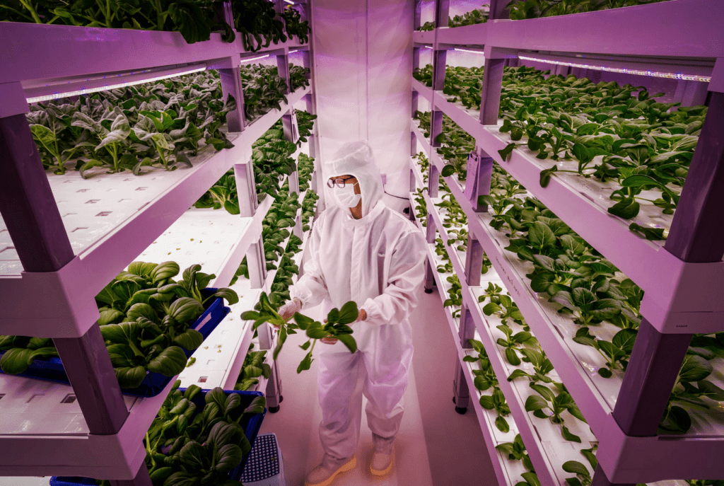 Why is Panoponica Technology the Future of Hydroponics and Plantation?