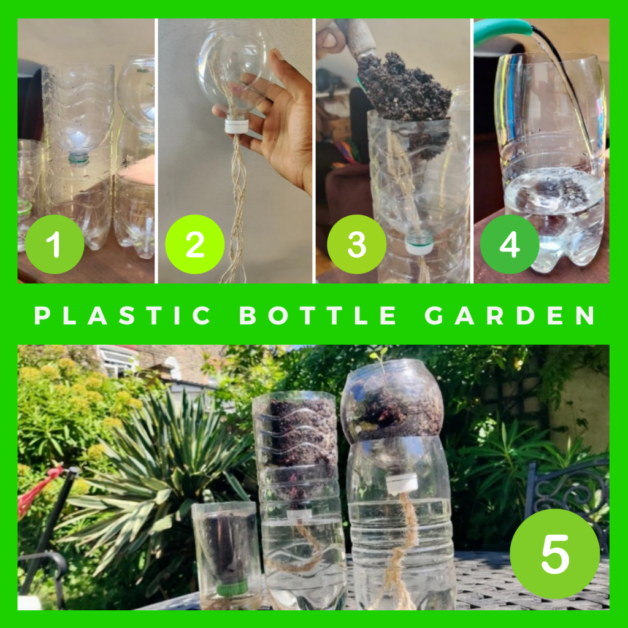 Tips for Monitoring and Maintaining a 2 Liter Bottle Garden