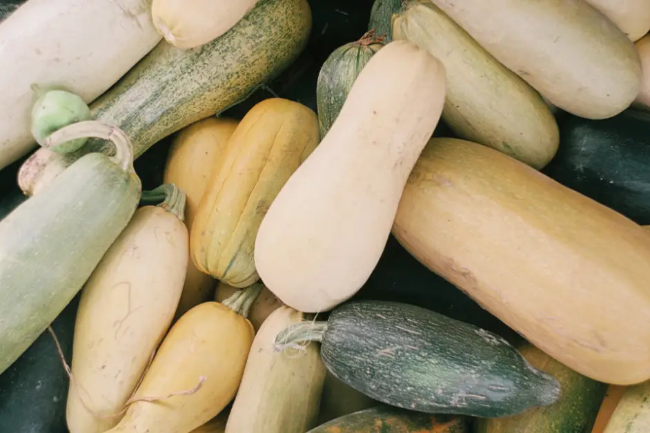 Selecting the Right Butternut Squash Variety for Your Garden