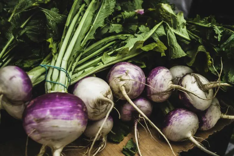 Turnips: Planting, Growing, and Care