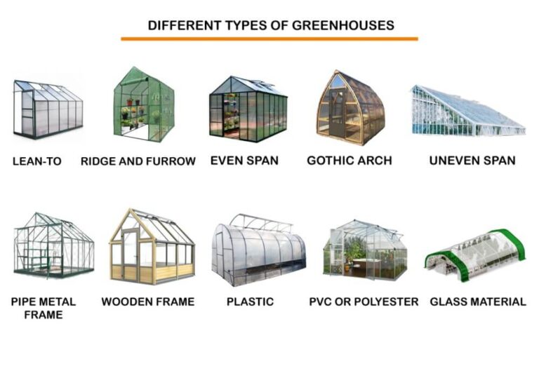 Greenhouse Plastic Options for Your Garden