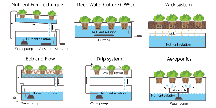 10. Watering and Oxygenation in Hydroponic Systems
