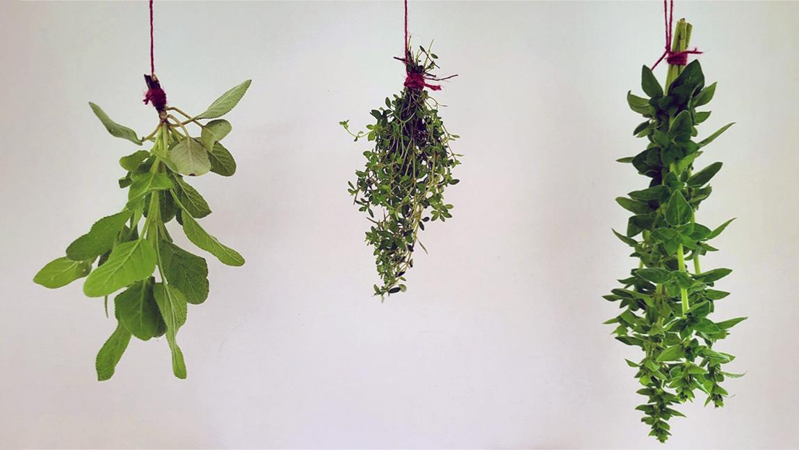 Exploring the Pros and Cons of Air Drying Oregano