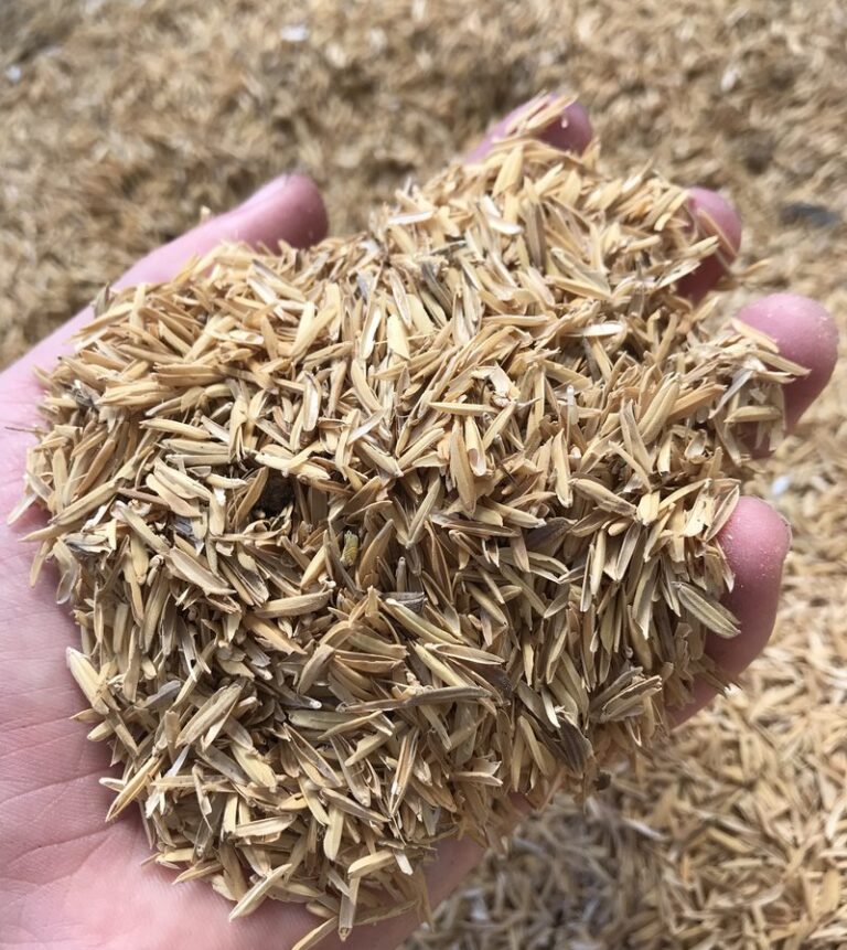 Rice Hulls as Mulch: Benefits and Tips for Hydroponics