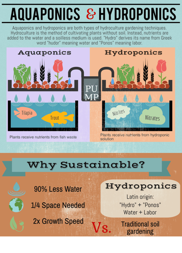 Hydroponics Vs aquaponics: