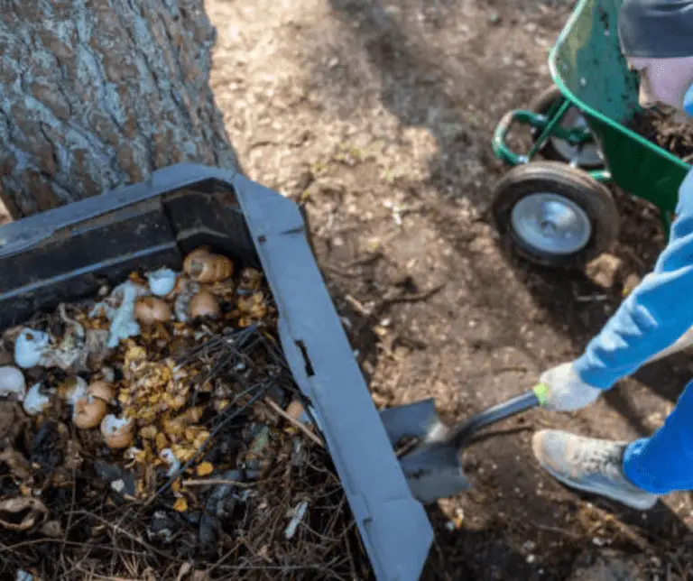 Bokashi Composting: How Does It Work?