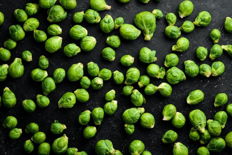 Growing Brussel Sprouts: Nutritious and Delicious
