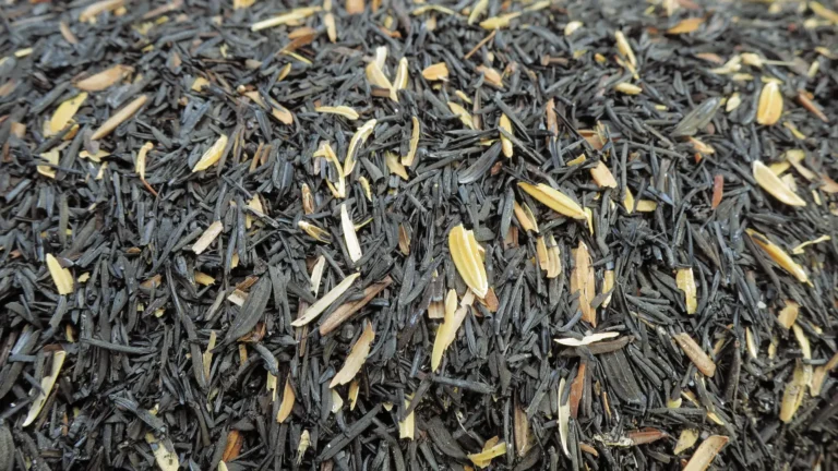 Carbonized Rice Hulls 101: Preparation and Benefits Explained