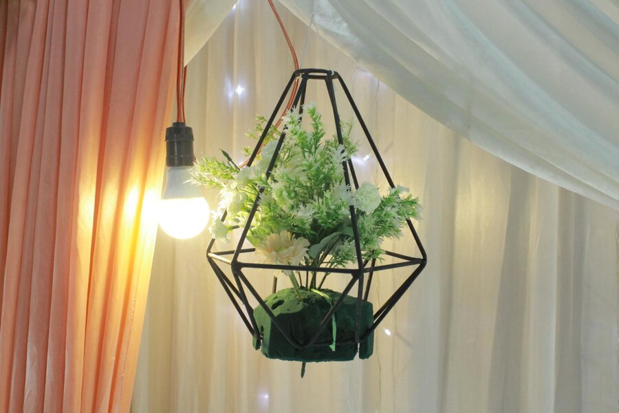 Creating a DIY Light Stand for Indoor Plants