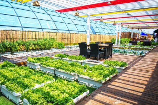 View of How to Go Off-Grid with Hydroponics and Enjoy Sustainable Living ...