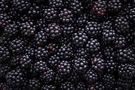 Growing Blackberries in Your Garden