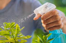 Use Insecticidal Soap