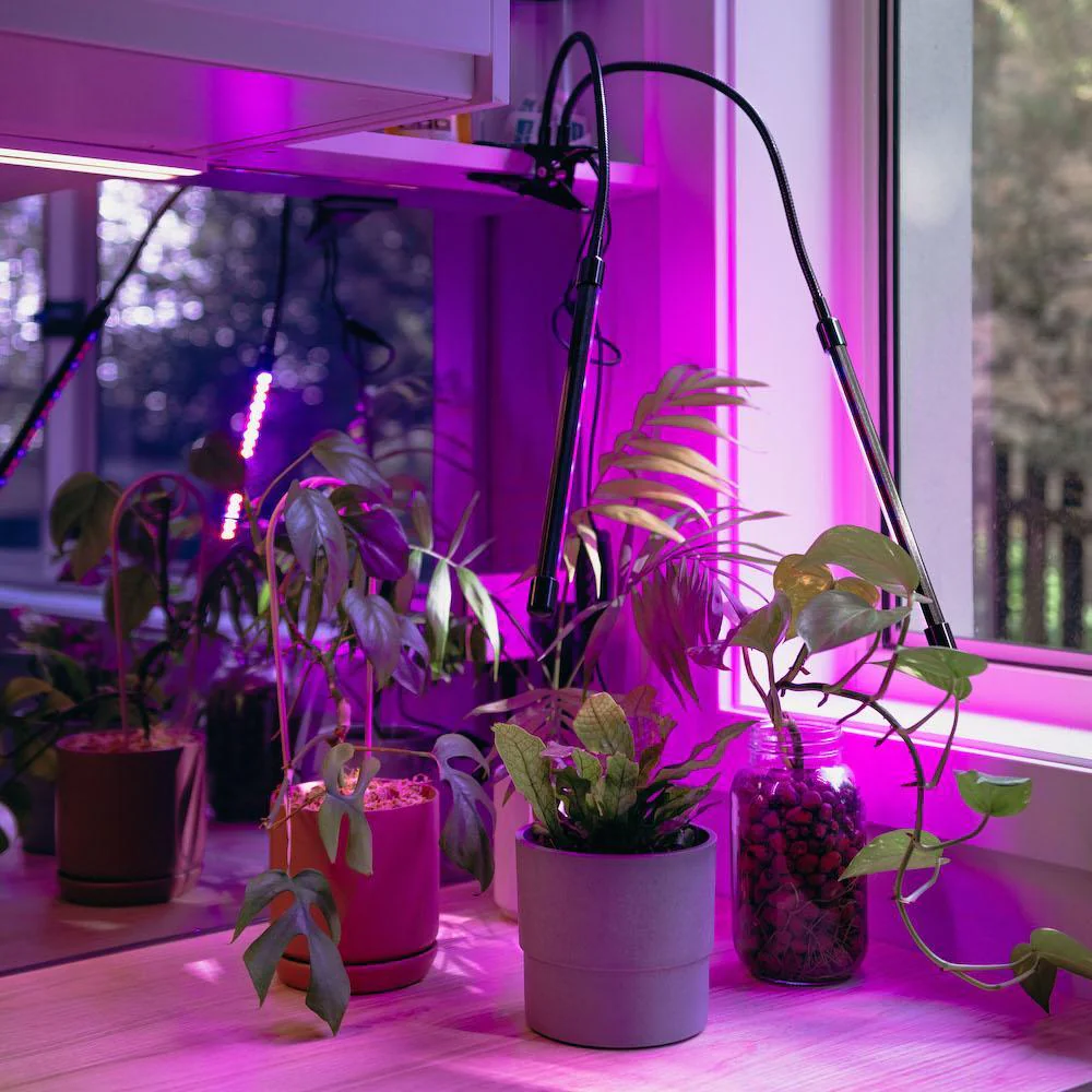 SE vs DE Grow Lights: What They Are, How They Differ, and Which One is Better for Your Plants